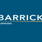 Project Engineer