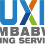 Auxin Mining Services Zimbabwe