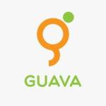 Guava Africa (Subsidiary of Africapaciti Investment Group)