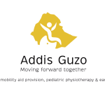 Addis Guzo