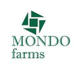 Administration and Accounts Assistant
