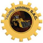 TAURO CONSORCIO MINING