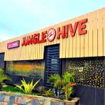 Jungle Hive