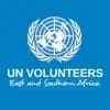GOVERNANCE SPECIALIST – UNDP