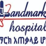 Landmark plc General Hospital