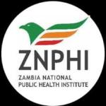 Director of Strategic Planning and Information Management