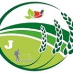 Getnet Belachew Importer