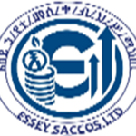 Essay Saving and Credit Association