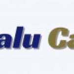 Collections Officer X2