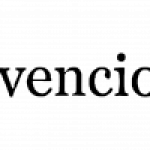 Business Analyst