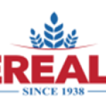 Cashier Accountant