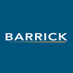 Project Engineer