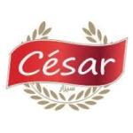 NEBBACHE FOOD INTERNATIONAL (Fromagerie CESAR)