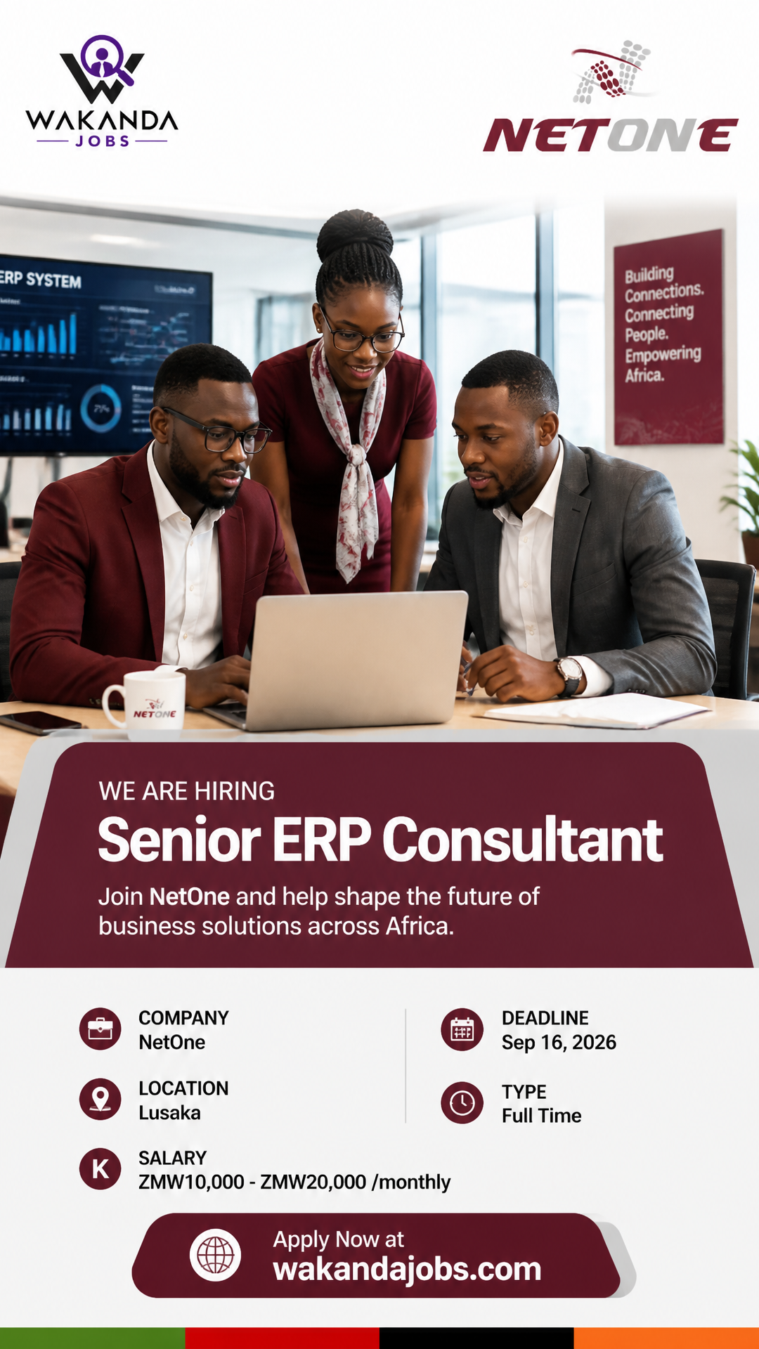Senior ERP Consultant